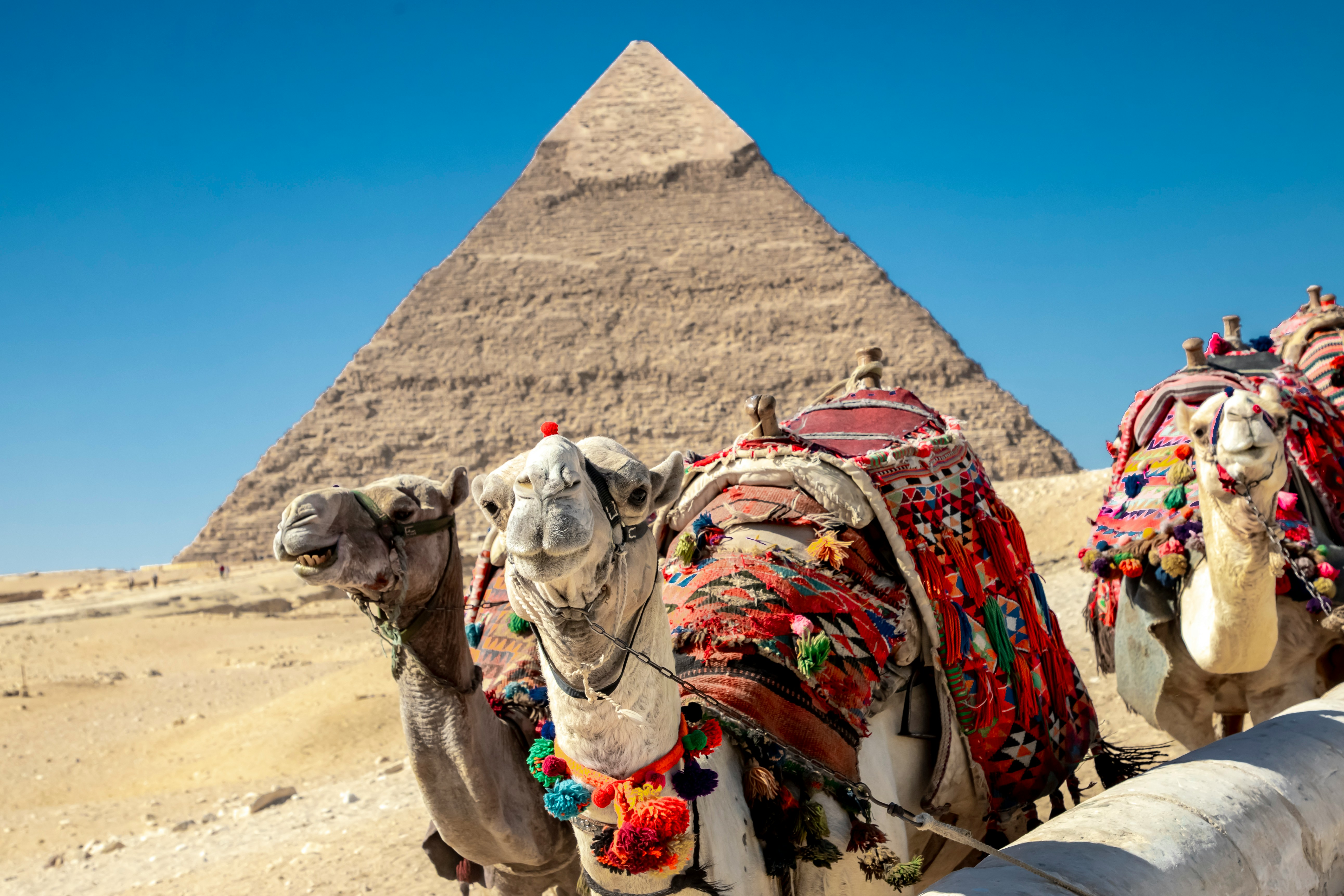 External Tourism